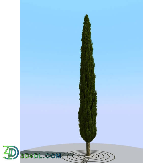 3dMentor HQPlants-02 (150) cypress 1