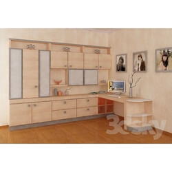 Wardrobe _ Display cabinets - Wall corner 