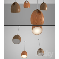 Ceiling light - The Oak Lamp 