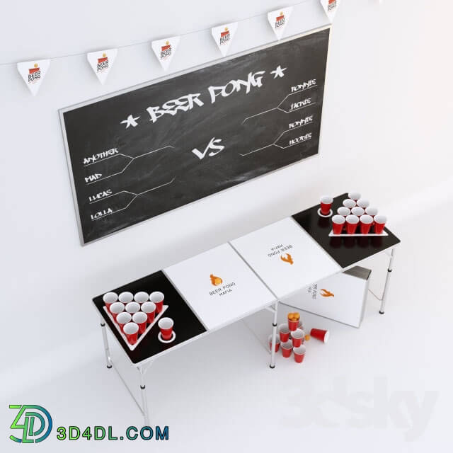 Other - BEER PONG BIR PONG