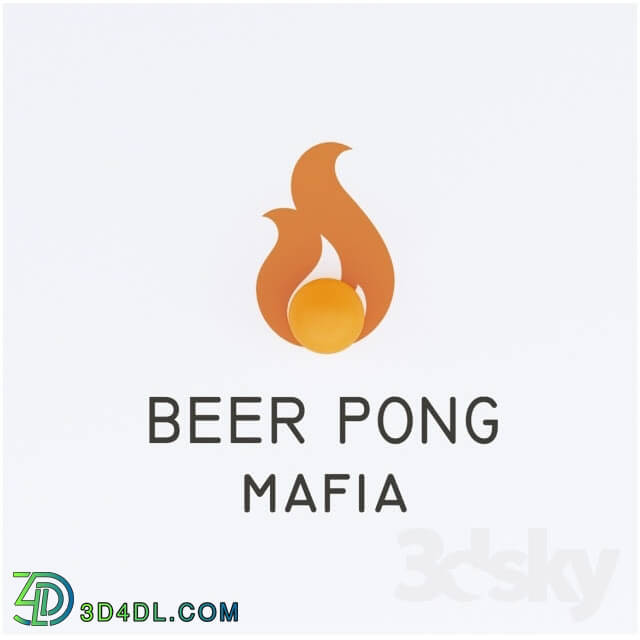 Other - BEER PONG BIR PONG