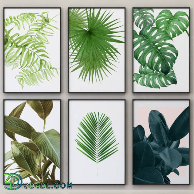 Frame - Tropical Set-02 Framed