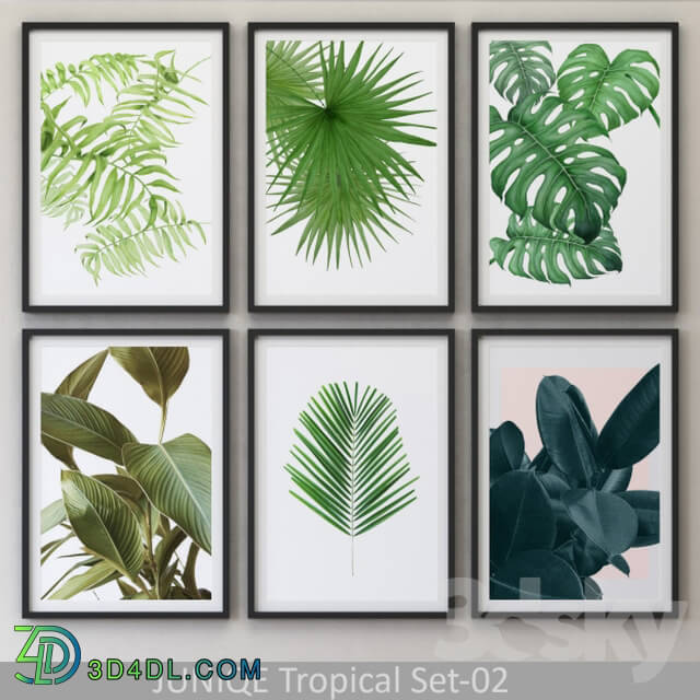 Frame - Tropical Set-02 Framed