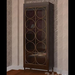 Wardrobe _ Display cabinets - showcase 