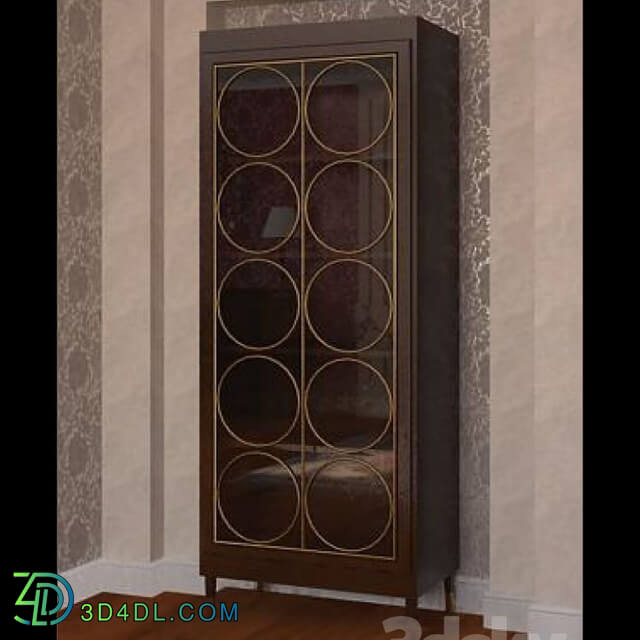 Wardrobe _ Display cabinets - showcase