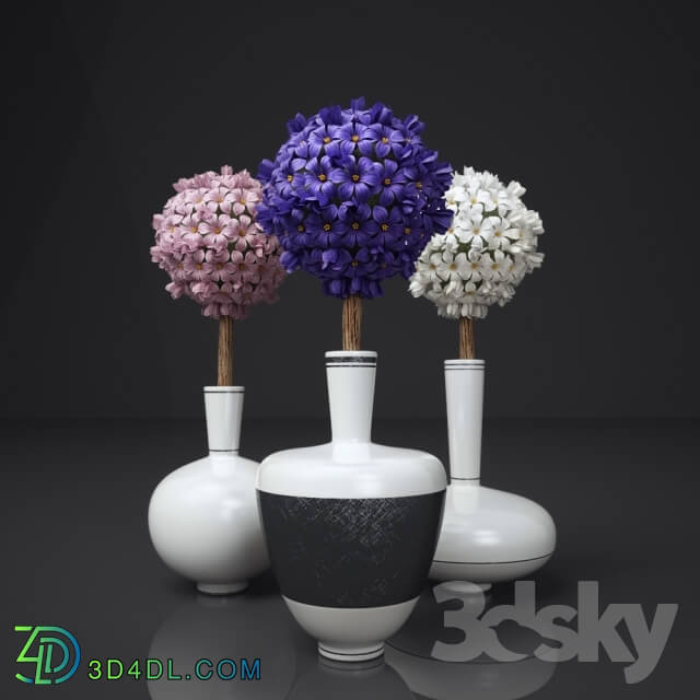 Plant - hyacinth_ floral bouquet