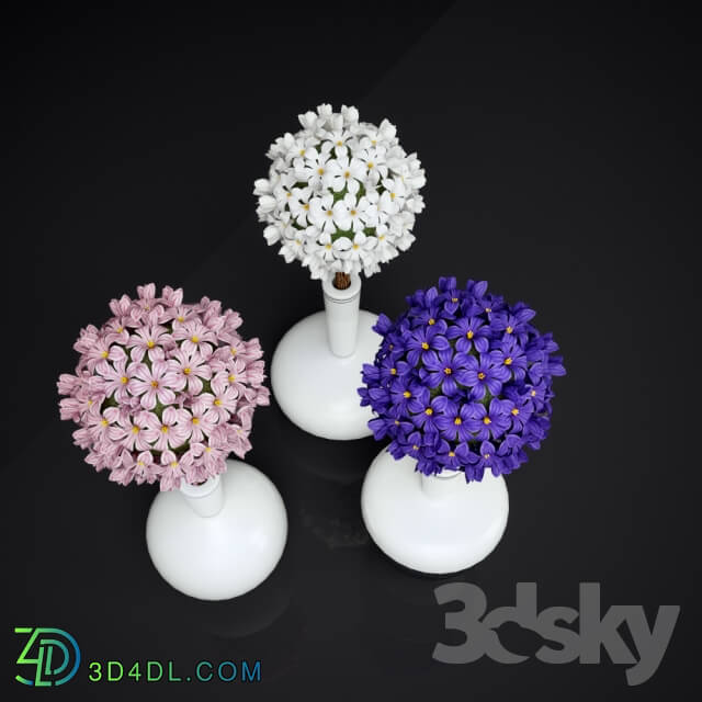 Plant - hyacinth_ floral bouquet