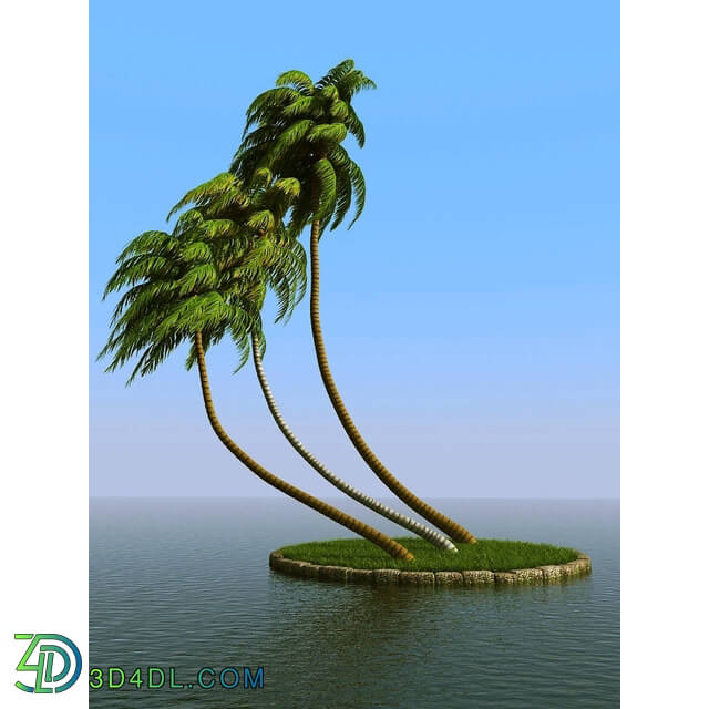 3dMentor HQPalms-03 (28) coconut palm wind 