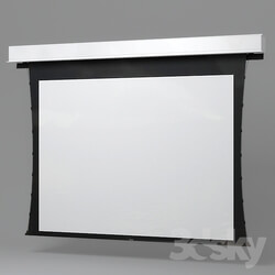PCs _ Other electrics - Recessed projection screen 