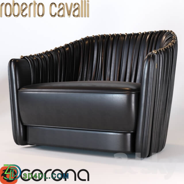 Arm chair - Roberto Kavalli Sharpe