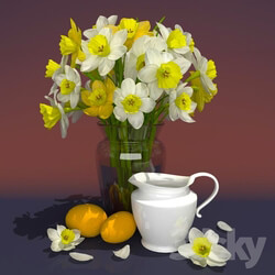Plant - Daffodils 