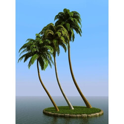 3dMentor HQPalms-03 (29) coconut palm 