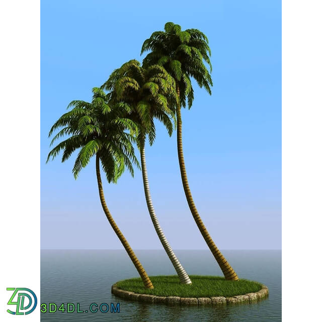 3dMentor HQPalms-03 (29) coconut palm