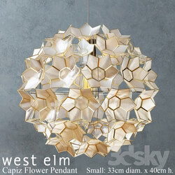 Ceiling light - West elm - Capiz Flower Pendant 