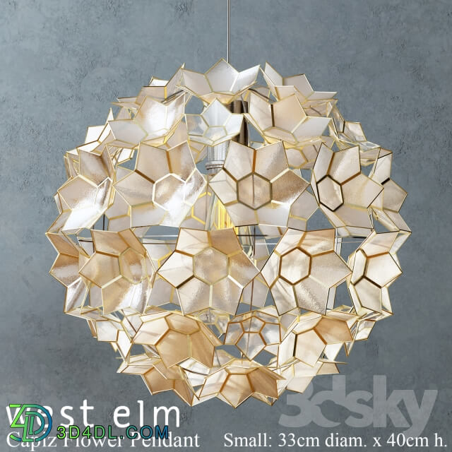 Ceiling light - West elm - Capiz Flower Pendant