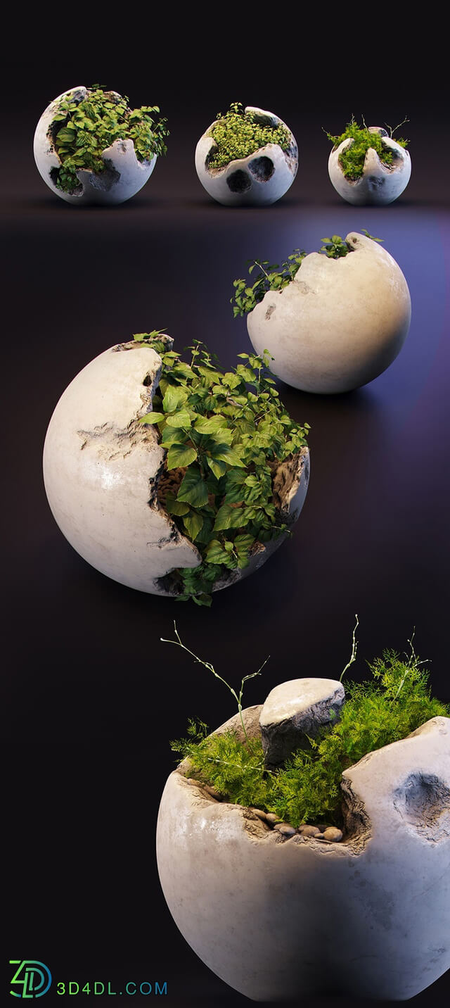 Plant - Round concrete pots with plants