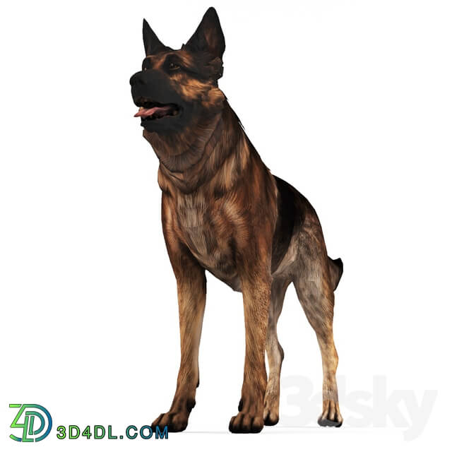 Creature - German Shepherd Dog
