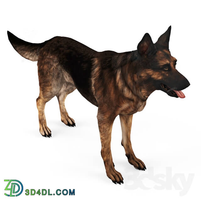 Creature - German Shepherd Dog