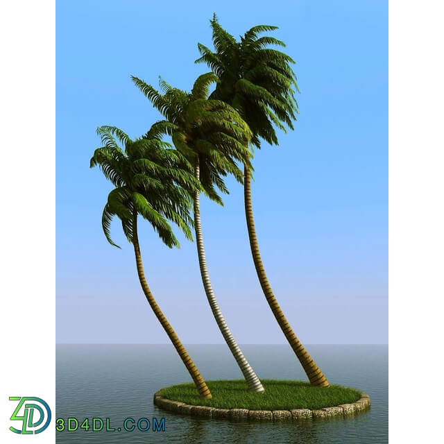 3dMentor HQPalms-03 (30) coconut palm wind