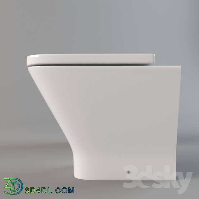 Toilet and Bidet - Toilet and bidet ladders Roca the gap