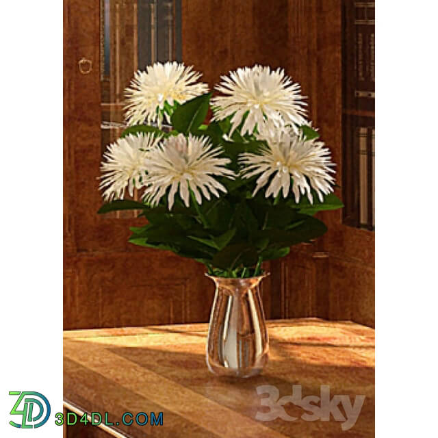 Plant - Vase with flowers