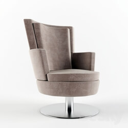 Arm chair - Armchair 