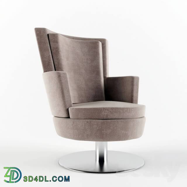 Arm chair - Armchair