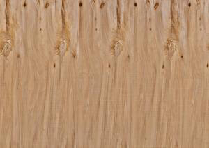 Wood Fine (002)