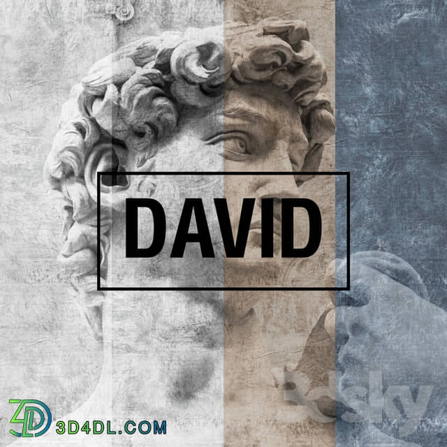 Wall covering - Factura _ David