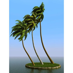 3dMentor HQPalms-03 (31) coconut palm wind  