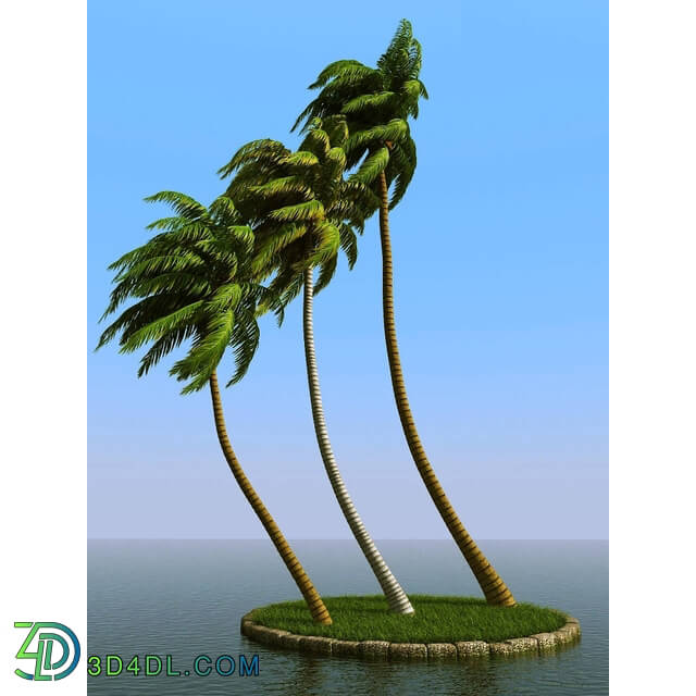 3dMentor HQPalms-03 (31) coconut palm wind 
