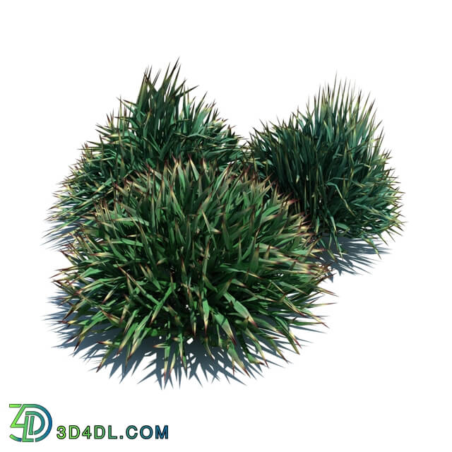 ArchModels Vol124 (085) Decorative grass v1