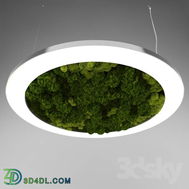 Ceiling light - LUce Verde Anello