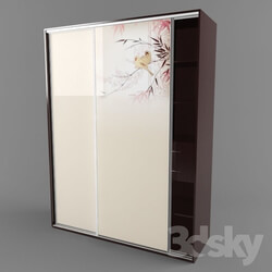 Wardrobe _ Display cabinets - Closet design 