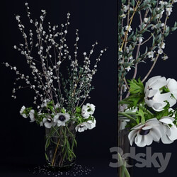Plant - Anemones and branches 