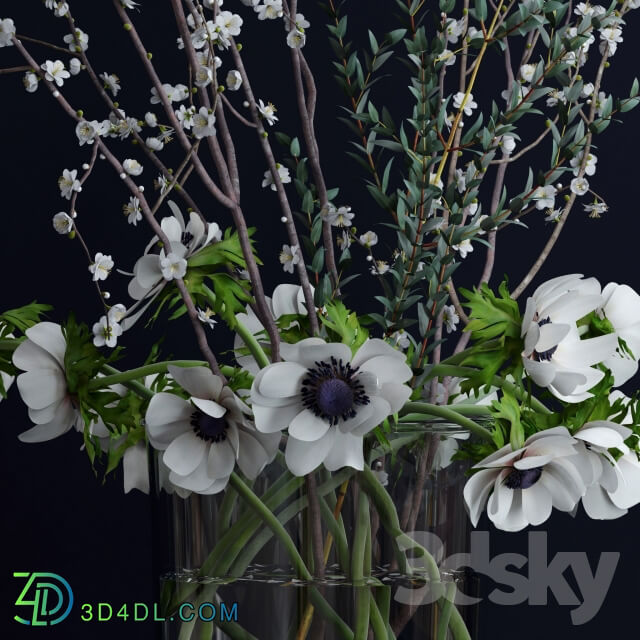 Plant - Anemones and branches