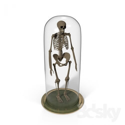 Other decorative objects - skeletik 