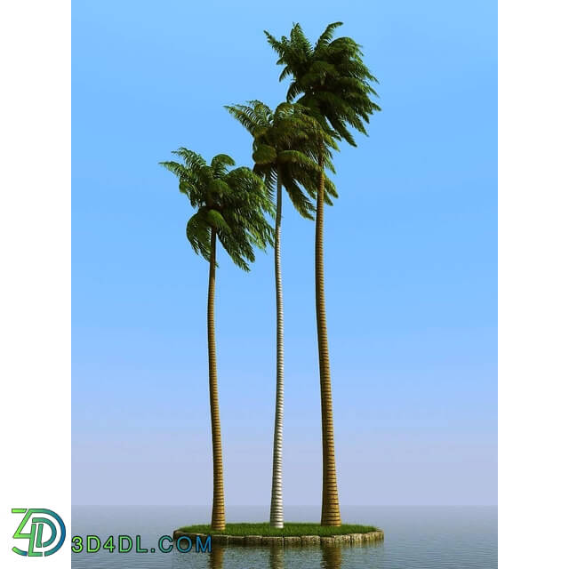 3dMentor HQPalms-03 (33) coconut palm wind