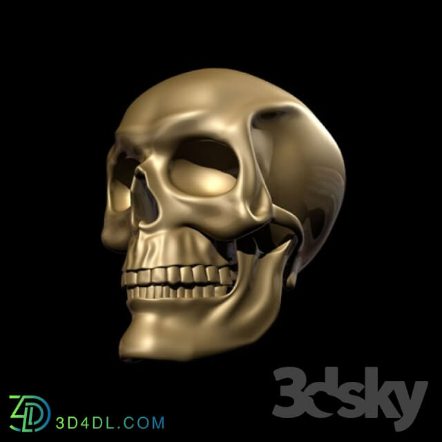 Miscellaneous - Skull