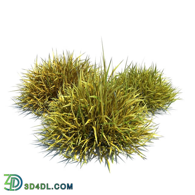 ArchModels Vol124 (087) Decorative grass v3