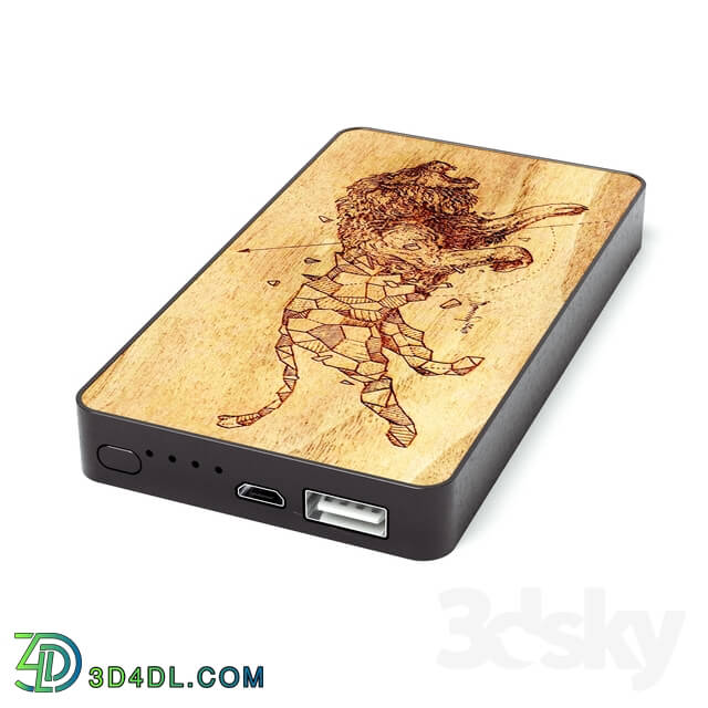 PCs _ Other electrics - CARVED_powerbank