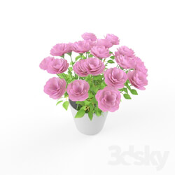 Bouquet - rose flower 