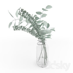 Plant - Vase with eucalyptus 