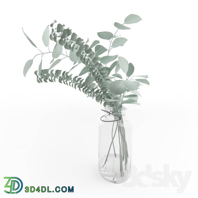 Plant - Vase with eucalyptus