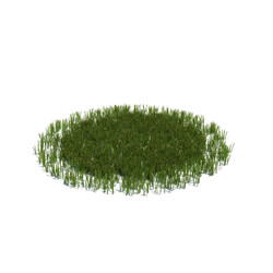 ArchModels Vol126 (012) simple grass large v3 