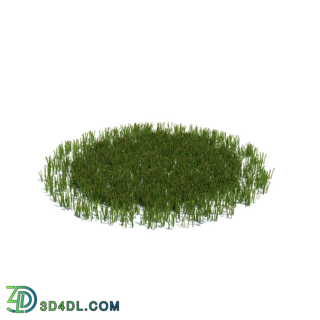 ArchModels Vol126 (012) simple grass large v3