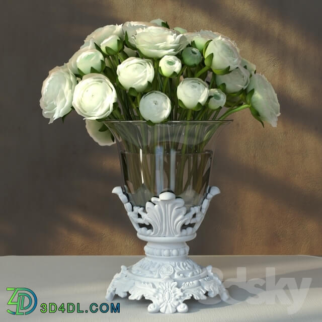 Plant - Ranunculus Bouquet