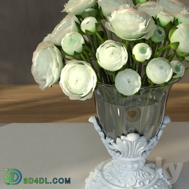 Plant - Ranunculus Bouquet