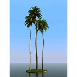 3dMentor HQPalms-03 (34) coconut palm 