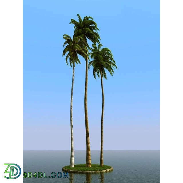 3dMentor HQPalms-03 (35) coconut palm wind
